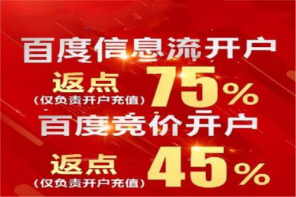 网络营销新篇章：竞价推广案例分析